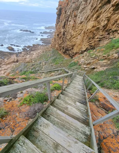 Point of Human Origin Stairs
