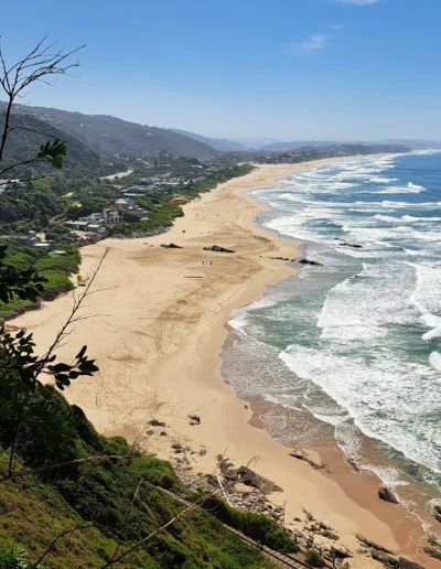 view of wilderness beach